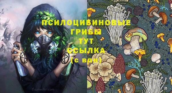 бутират Алзамай
