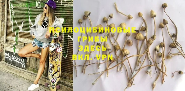 spice Алексеевка