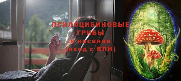 spice Алексеевка