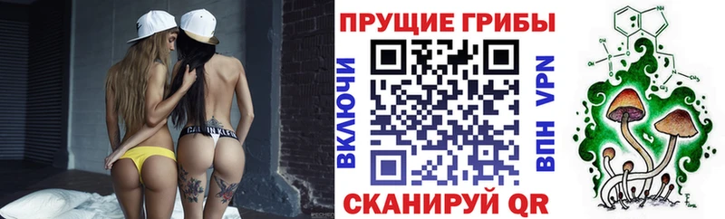 Галлюциногенные грибы GOLDEN TEACHER  Белорецк 